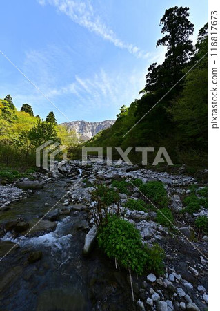 Oyama的新鮮綠色 118817673