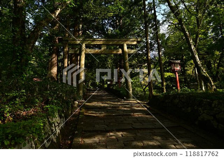 鮮綠的大神山神社 鮮綠的大神山神社 118817762