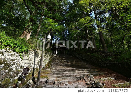鮮綠的大神山神社 鮮綠的大神山神社 118817775
