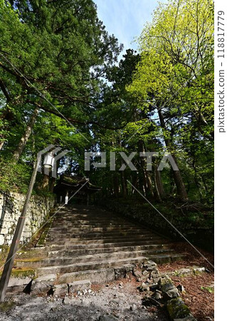 鮮綠的大神山神社 鮮綠的大神山神社 118817779