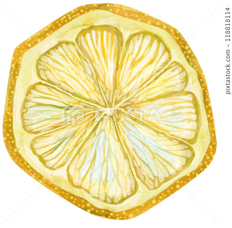 Dried lemon. Organic Healthy Dried Fruit. Watercolor illustration 118818114