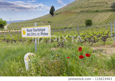 Typical vineyard with Wine road (Route Touristique des Cotes du Rhone) near Tain l'Hermitage, Cotes du Rhone, France 118819461