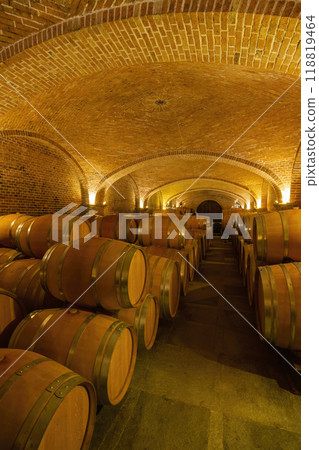 Wine cellar in Canale, Piedmont, Italy 118819464