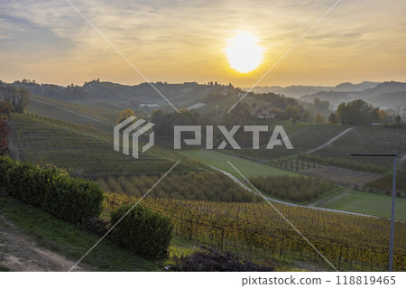 Typical vineyard near Canale, Barolo wine region, province of Cuneo, region of Piedmont, Italy Typical vineyard near Canale, Barolo wine region, province of Cuneo, region of Piedmont, Italy 118819465