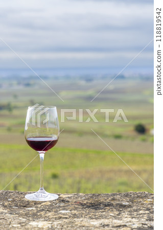 Glass of pinot noir red wine in early spring vineyards near Aloxe-Corton, Burgundy, France 118819542