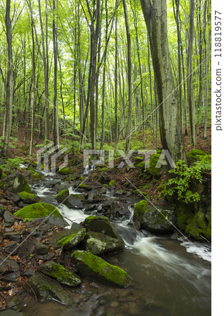 Starohutiansky waterfall near Nova Bana and Zarnovica, Pohronsky Inovec mountains, Slovakia 118819577