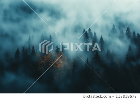 Serene Forest Enveloped in Soft Mist and Fog 118819672