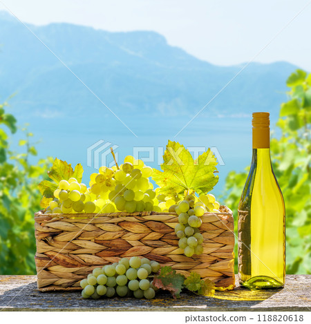Bottle of white wine and basket of grape 118820618