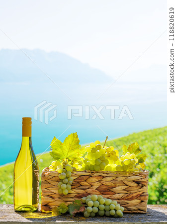 Bottle of white wine and basket of grape Bottle of white wine and basket of grape 118820619