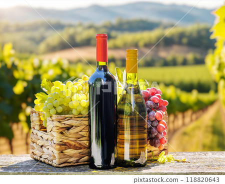Bottles of red and white wine 118820643