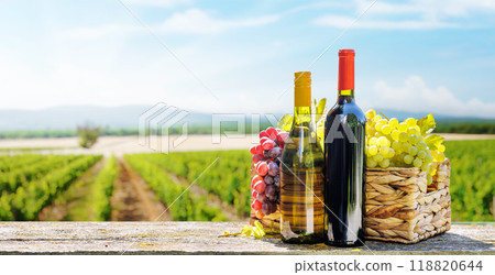 Bottles of red and white wine 118820644