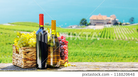 Bottles of red and white wine 118820648
