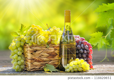 Bottle of white wine and basket of grape Bottle of white wine and basket of grape 118820651