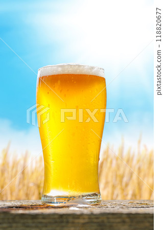A glass of cold beer sits on a table with a vast rye field 118820677
