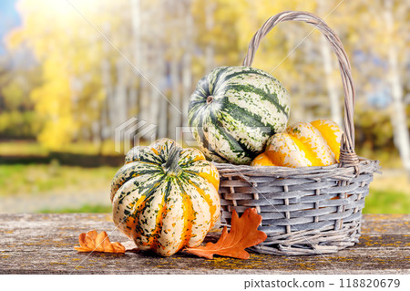 Autumn-themed food arrangement with pumpkins and autumn leaves 118820679