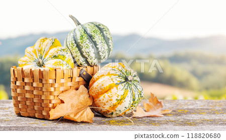 Autumn-themed food arrangement with pumpkins and autumn leaves 118820680