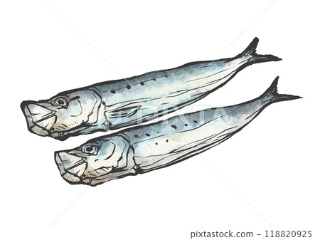 沙丁魚手繪畫筆繪畫風格插畫 118820925