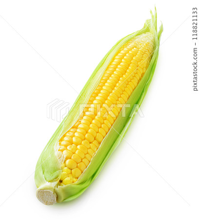 One raw corn cob isolated on white 118821133