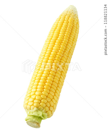 One raw peeled corn cob isolated on white background 118821134