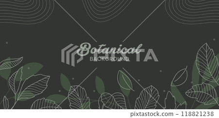 Green botanical leaves hand drawn line art and green silhouettes background.Vector illustration 118821238