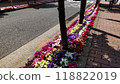 Flowers in a flowerbed by the roadside 118822019
