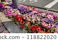 Flowers in a flowerbed by the roadside 118822020