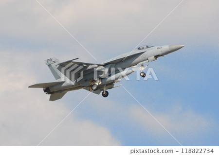 US Navy F/A-18E Super Hornet rising US Navy F/A-18E Super Hornet rising 118822734