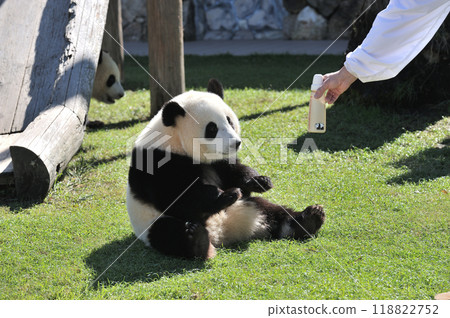 Yohama receiving milk from a staff member 118822752