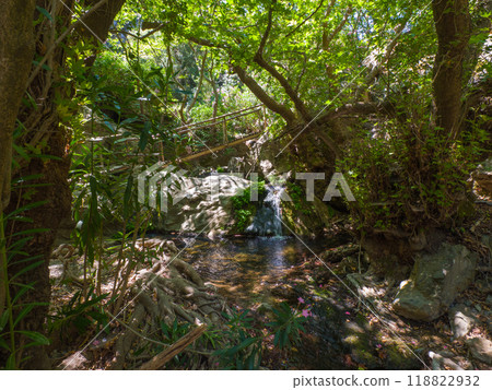 Forest Stream (Littitis Gorge, Crete, Greece) 118822932