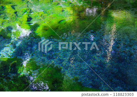 熊本縣白川水源地 118823303