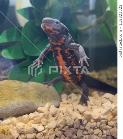 Ah! It's time for dinner! I have to hurry. 118823322