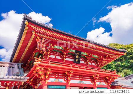 [Kanagawa Prefecture] Tsurugaoka Hachimangu Shrine 118823431