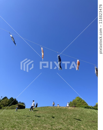 鯉魚旗在藍天裡遊動 118823476