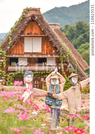 Autumn in Shirakawa-go: Cosmos, scarecrows, and Gassho-style villages Autumn in Shirakawa-go: Cosmos, scarecrows, and Gassho-style villages 118823531