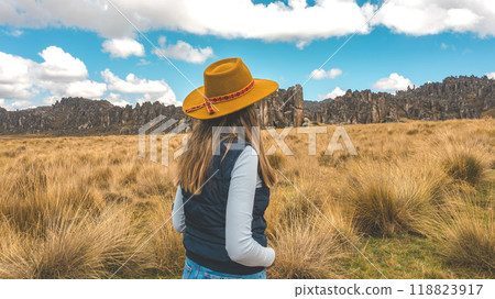 A person is standing in a field of tall grass next to a large rock formation, traveling through the peruvian andes 118823917