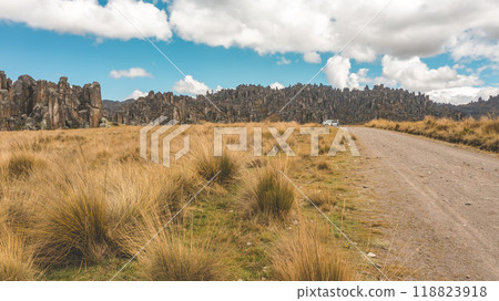 Road of the Huayllay Stone Forest, rocks eroded by the wind over the years creating stone figures. Pasco. Peru. Road of the Huayllay Stone Forest, rocks eroded by the wind over the years creating stone figures. Pasco. Peru. 118823918