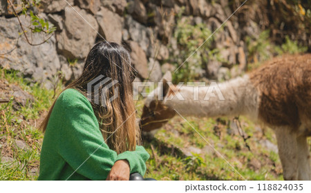A woman sits on the ground next to a brown and white llama, traveling through the peruvian andes. Canta. Lima, Peru. 118824035