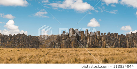 Panoramic view of the Huayllay Stone Forest, rocks eroded by the wind over the years creating stone figures. Pasco. Peru. Panoramic view of the Huayllay Stone Forest, rocks eroded by the wind over the years creating stone figures. Pasco. Peru. 118824044