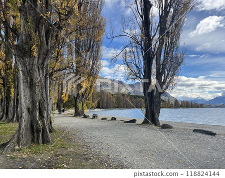 Wanaka, South Island, New Zealand 118824144