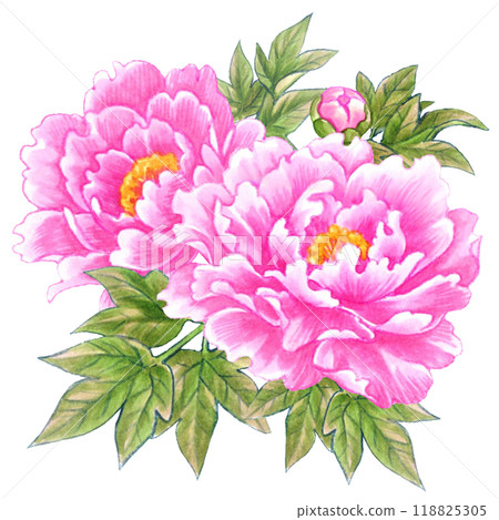 牡丹花手繪素材一點日式/中式 118825305