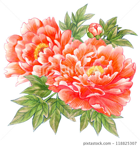 牡丹花手繪素材一點日式/中式 牡丹花手繪素材一點日式/中式 118825307