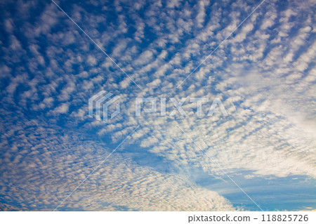 在夕陽下染上的鱗狀雲 118825726