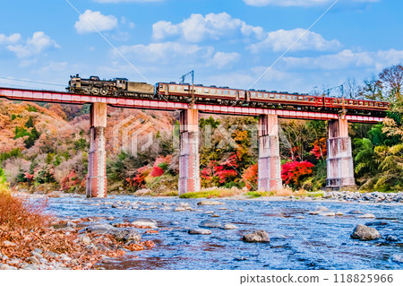 Saitama Chichibu Railway - SL Paleo Express crossing the Arakawa Bridge amidst autumn leaves - Saitama Chichibu Railway - SL Paleo Express crossing the Arakawa Bridge amidst autumn leaves - 118825966