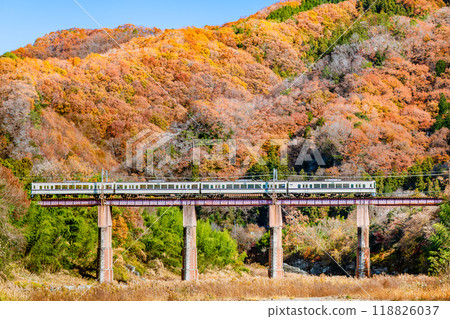 Saitama Chichibu Railway ~Seibu Railway 4000 series train crossing the Arakawa Bridge with autumn leaves~ Saitama Chichibu Railway ~Seibu Railway 4000 series train crossing the Arakawa Bridge with autumn leaves~ 118826037