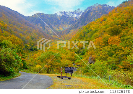 秋葉町町 秋葉町町 118826178