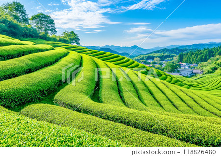 發光在藍天的向日葵 發光在藍天的向日葵 118826480