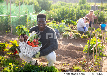 proffesional farmer with garden basket proffesional farmer with garden basket 118826663