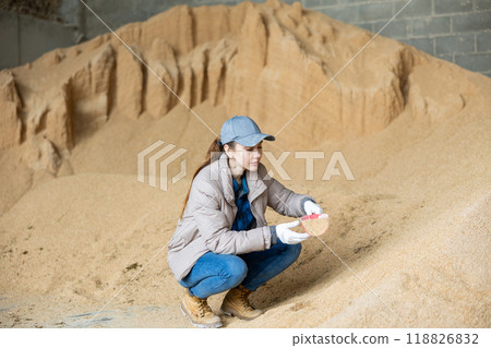 Female farmer scooping soybean hulls from pile in farm storage 118826832
