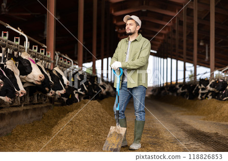 Portrait of man farm worker in cowshed Portrait of man farm worker in cowshed 118826853