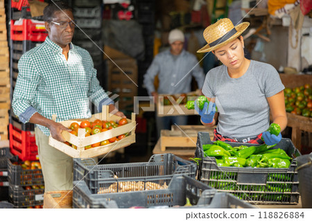 Woman working in vegetable warehouse 118826884